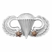 Army Basic Combat Parachute 2nd Award - Oxidized Finish