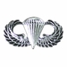 Army Basic Parachutist Badge - Mirrored Finish