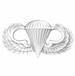 Army Basic Parachutist Badge - Oxidized Finish