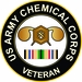 Army Chemical Corps Gulf War Veteran Decal