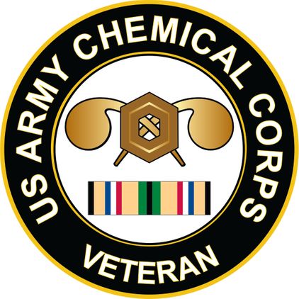 Army Chemical Corps Gulf War Veteran Decal