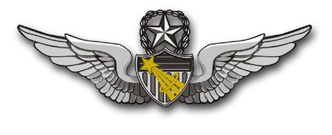 Army Command Astronaut Wings Vinyl Transfer Decal