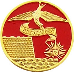 Army Corps of Engineers 1" Lapel Pin