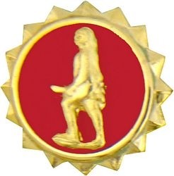 Army Discharge 9/16" Lapel Pin
