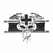 Army Expert Field Medical Badge - Mirrored Finish