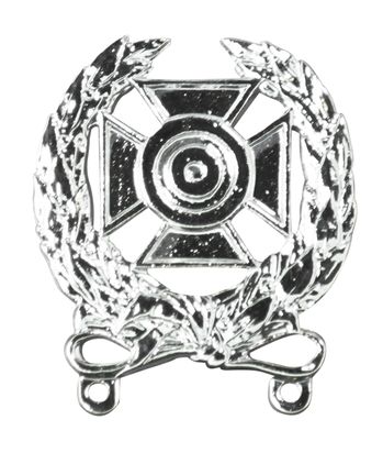 Army Expert Shooting Badge - Mirrored Finish