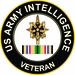 Army Intelligence Corps Gulf War Veteran Decal