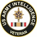 Army Intelligence Iraq Veteran Decal