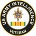 Army Intelligence Vietnam Veteran Sticker