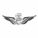 Army Master Aviator Badge - Mirrored Finish