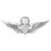Army Master Aviator Badge - Oxidized Finish