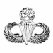 Army Master Parachutist Badge - Mirrored Finish