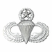 Army Master Parachutist Badge - Oxidized Finish