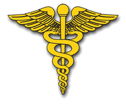 Army Medical Corps Vinyl Transfer Decal