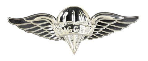 Army Pararigger Badge - Mirrored Finish
