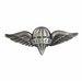 Army Pararigger Badge - Oxidized Finish