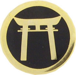 Army Ryukus Command 7/8" Lapel Pin