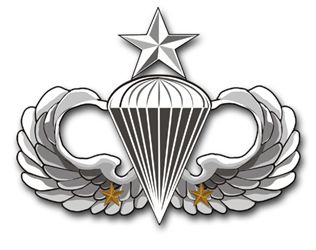 Army Senior 2 Combat Jump Wings  Vinyl Transfer Decal
