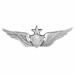 Army Senior Aircrew Badge - Oxidized Finish