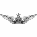 Army Senior Aircrew Wings  Vinyl Transfer Decal