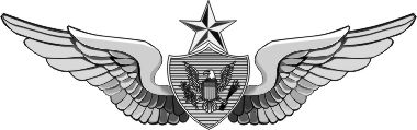 Army Senior Aircrew Wings  Vinyl Transfer Decal