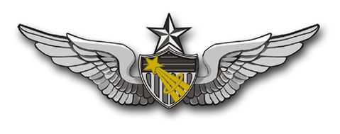Army Senior Astronaut Wings  Vinyl Transfer Decal