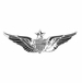 Army Senior Aviator Badge - Mirrored Finish