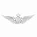 Army Senior Aviator Badge - Oxidized Finish
