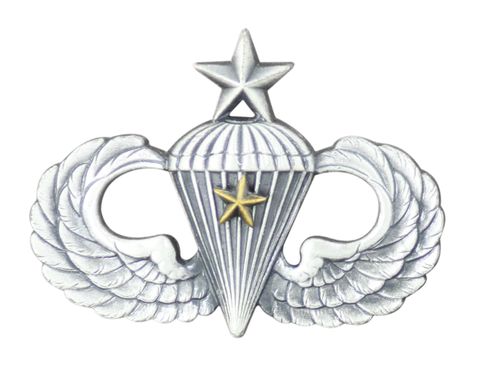 Army Senior Combat Parachute 1st Award Badge - Oxidized Finish