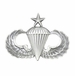 Army Senior Parachute Badge - Oxidized Finish