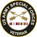 Army Special Forces Afghanistan and Iraq Decal