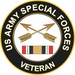 Army Special Forces Iraq Veteran Decal
