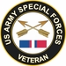 Army Special Forces Kosovo Veteran Decal