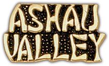 Ashau Valley Lapel Pin