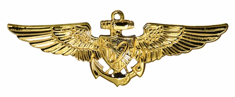Astronaut Aviator Badge