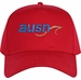 AUSN Embroidered Imported Structured Cap