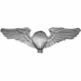 Balloon Pilot Wings Pin