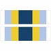 Basic Military Training Honor Graduate Ribbon Decal
