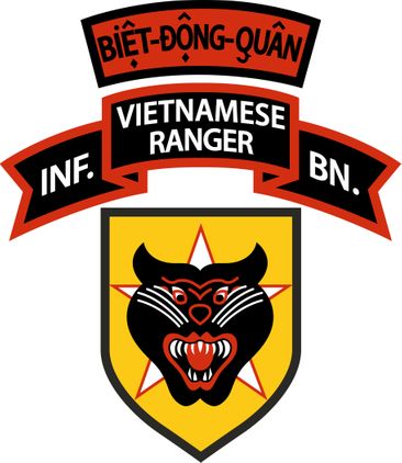 BDQ Vietnam Ranger Decal