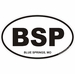 Blue Springs Missouri Oval Decal