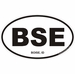 Boise Idaho Oval Decal