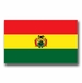 Bolivia Flag Vinyl Transfer Decal