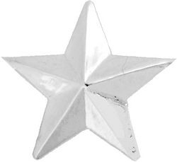 Brigadier General Army Lapel Pin - Silver