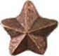 Bronze Star Attachment (3/16")