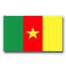 Cameroon Flag Vinyl Transfer Decal