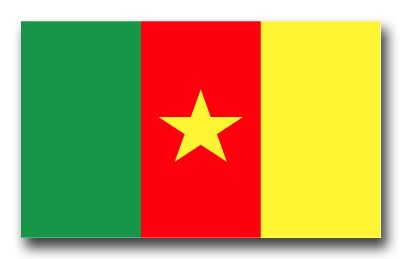 Cameroon Flag Vinyl Transfer Decal