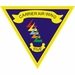 Carrier Air Wing 5 Decal