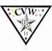 Carrier Air Wing CVW 11 Decal