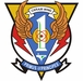Carrier Air Wing One CVW1 Decal