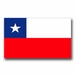 Chile Flag Vinyl Transfer Decal